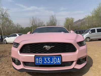 23긣ҰMustang
