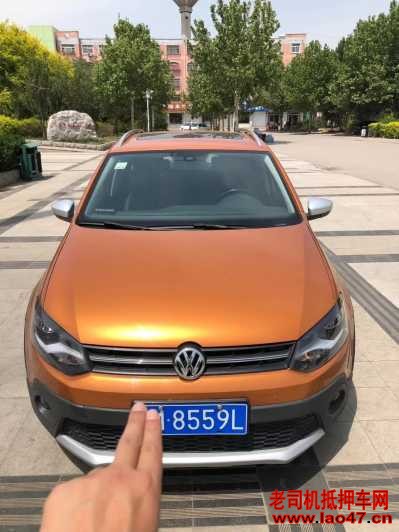 20POLO