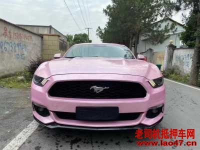 ˮ22긣ҰMustang