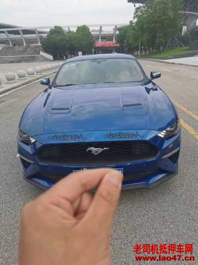 24긣ҰMustang