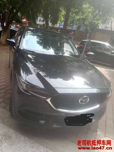 24ԴCX-5