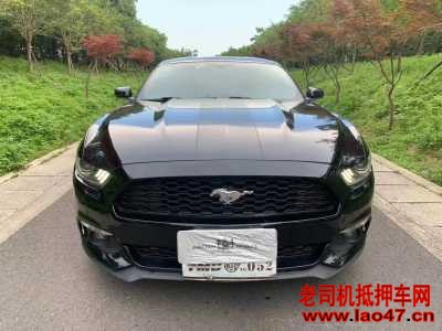 20긣ҰMustang