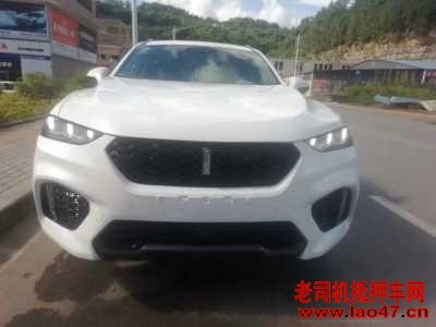 23곤WEY VV7