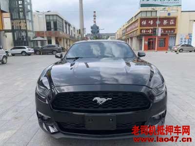 22긣ҰMustang