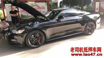 21긣ҰMustang