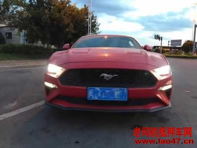 24긣ҰMustang