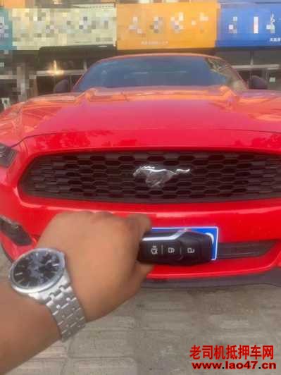 20긣ҰMustang