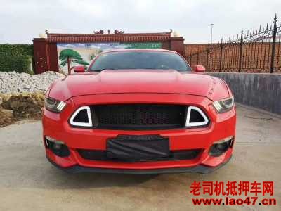 21긣ҰMustang