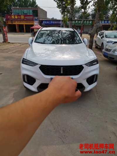 żҿ22곤WEY VV7