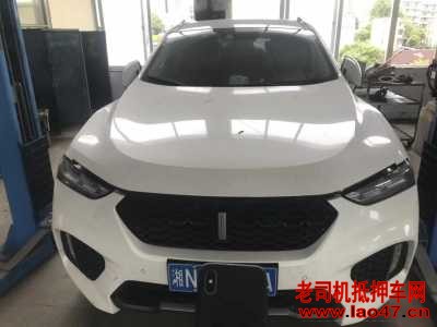 24곤WEY VV7