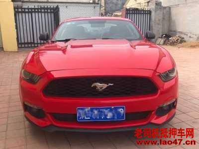 20긣ҰMustang