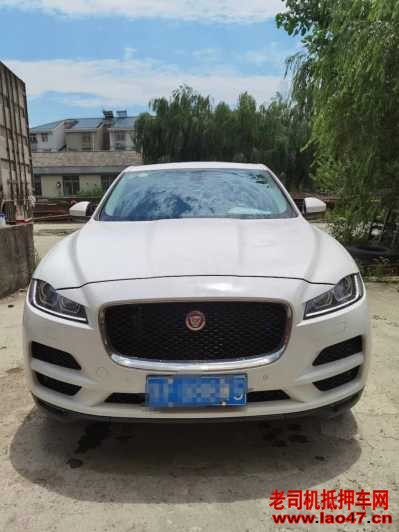 γ22ݱF-PACE