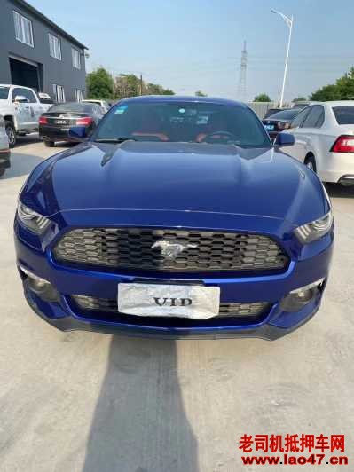 21긣ҰMustang