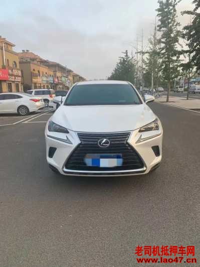23׿˹NX