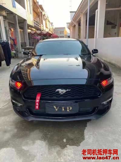 23긣ҰMustang