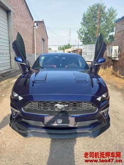 23긣ҰMustang