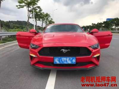 24긣ҰMustang