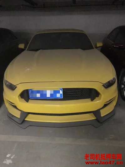 21긣ҰMustang