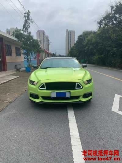 20긣ҰMustang