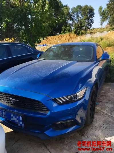 23긣ҰMustang