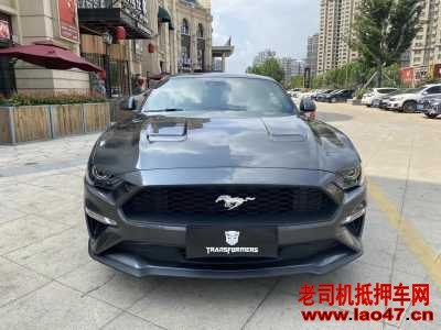24긣ҰMustang