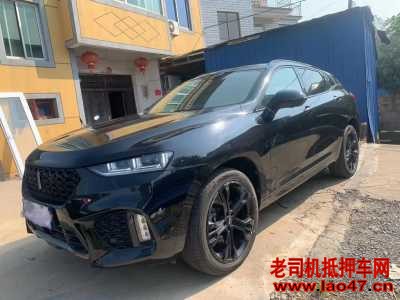 ˮ23곤WEY VV7
