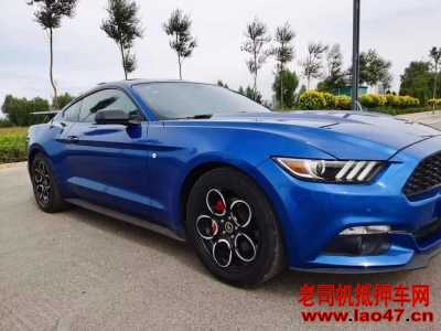 22긣ҰMustang
