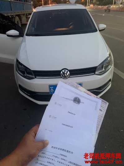 21POLO