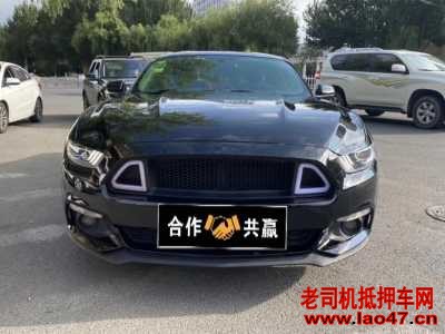 21긣ҰMustang