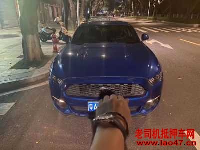 23긣ҰMustang