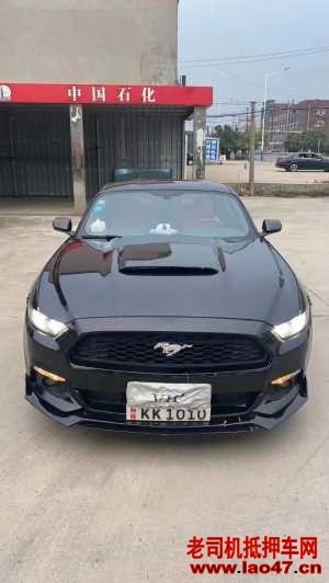 20긣ҰMustang