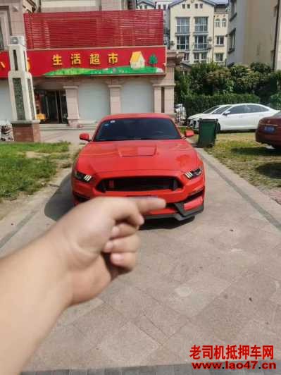 23긣ҰMustang