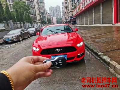 23긣ҰMustang
