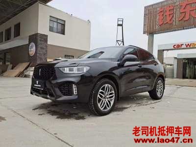 20곤WEY VV5