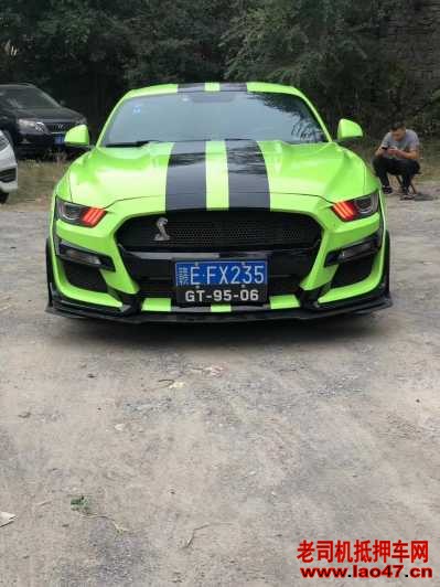 21긣ҰMustang