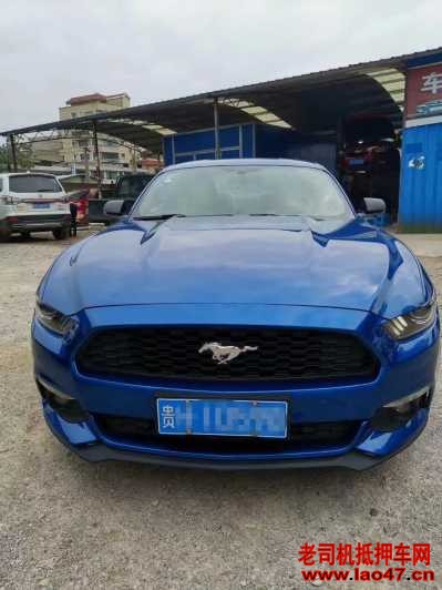 23긣ҰMustang