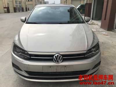 24POLO