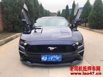 23긣ҰMustang