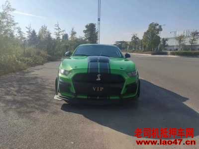 20긣ҰMustang