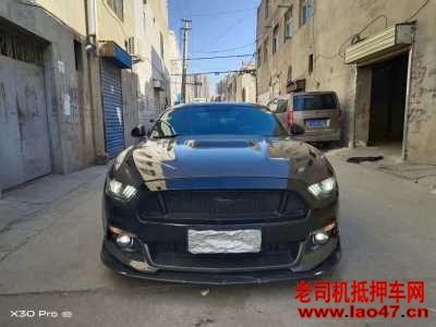 ˮ21긣ҰMustang