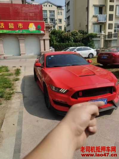 23긣ҰMustang