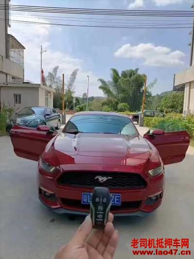 21긣ҰMustang