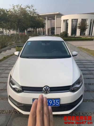 22POLO