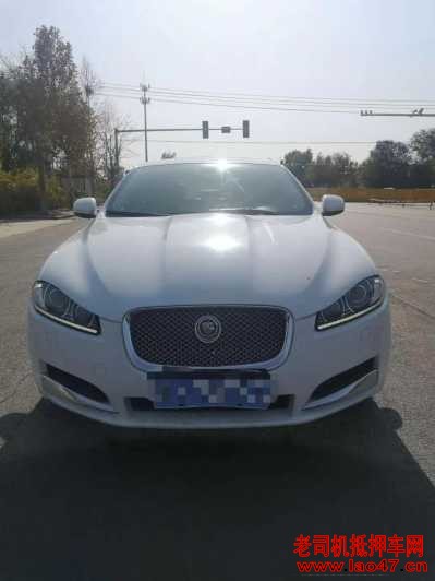 19ݱXF