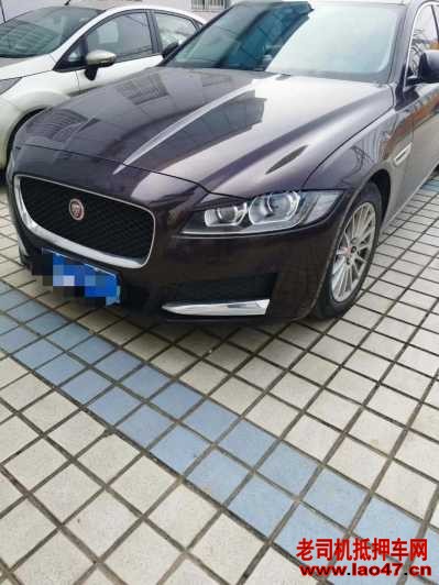21ݱXF
