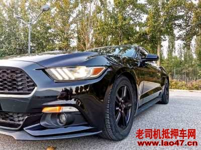 21긣ҰMustang