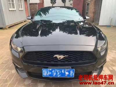 ˮ21긣ҰMustang