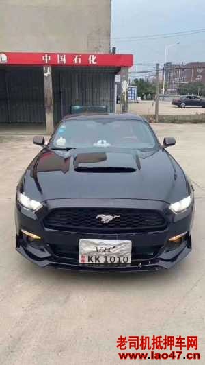 20긣ҰMustang