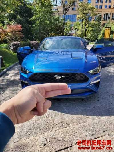 23긣ҰMustang