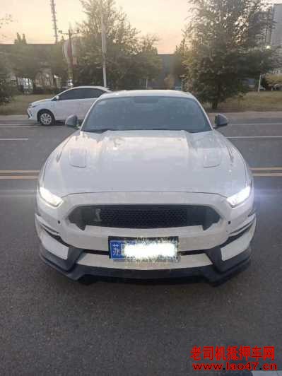 21긣ҰMustang